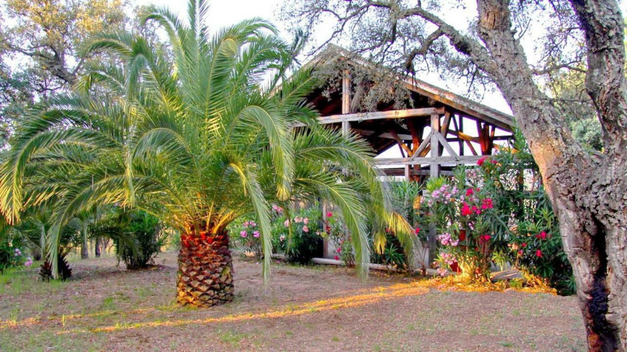 Happy Trimurti Hotel Cogolin Exterior photo
